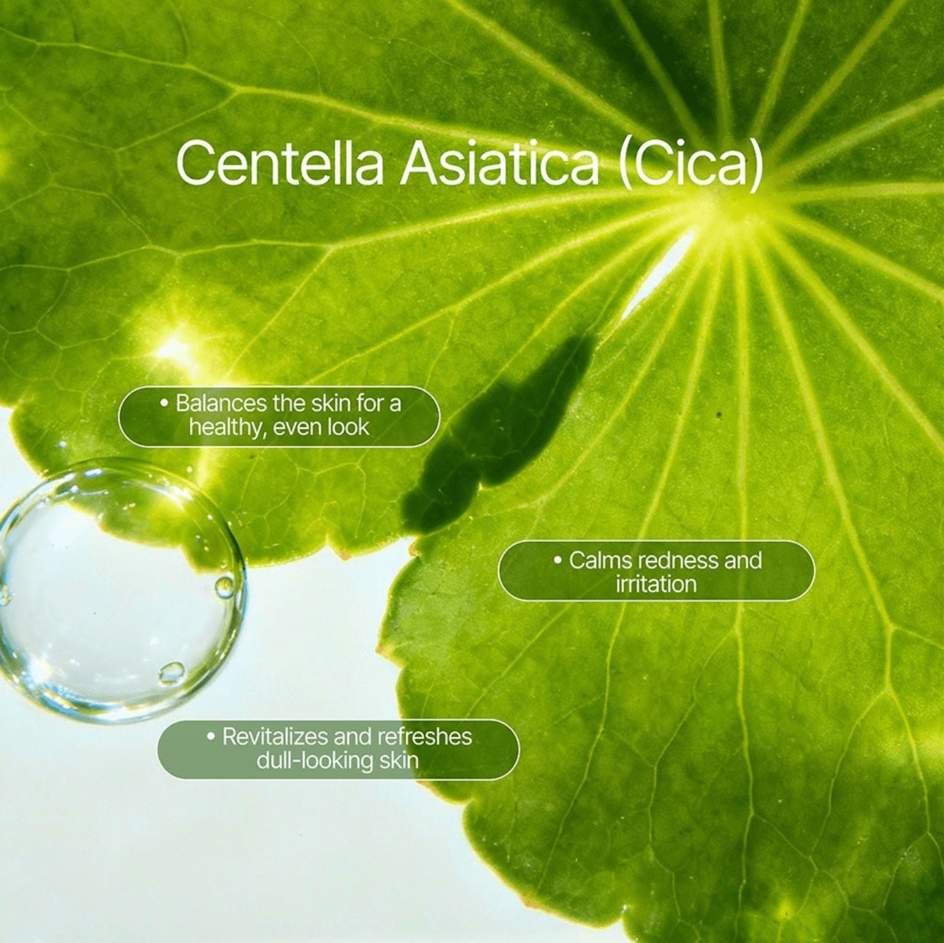 Elōra Peptide Serum